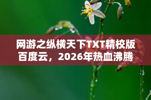 网游之纵横天下TXT精校版百度云，2026年热血沸腾！纵横天下隐藏剧情竟藏惊天反转？