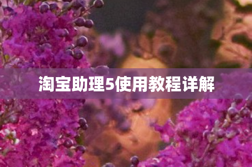 淘宝助理5使用教程详解图片