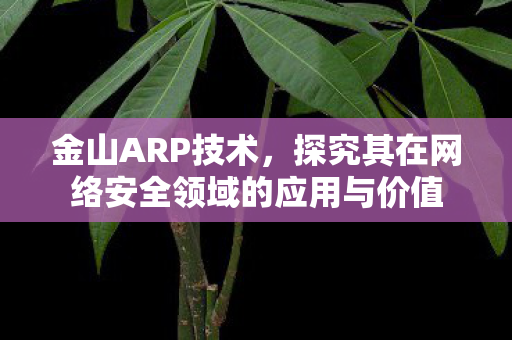 探究其在网络安全领域的应用与价值图片