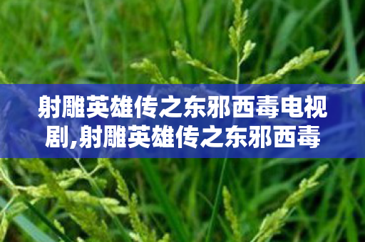 射雕英雄传之东邪西毒电视剧,射雕英雄传之东邪西毒，跳出脸谱的江湖众生相