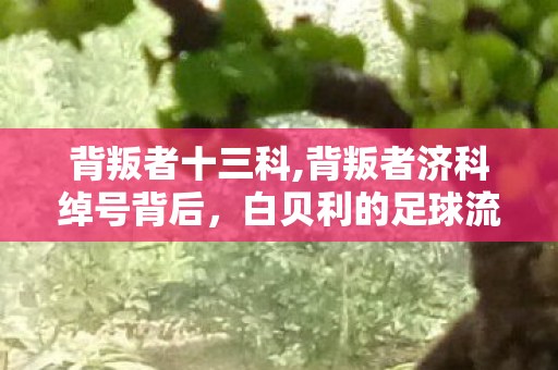 背叛者十三科,背叛者济科绰号背后，白贝利的足球流浪与归途