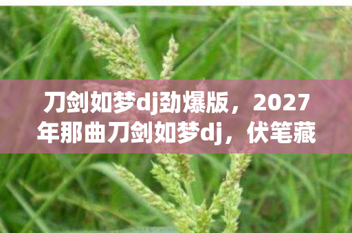 刀剑如梦dj劲爆版,2027年那曲刀剑如梦dj,伏笔藏了半生,再见时鼻子一酸 刀剑如梦dj劲爆版,2027年那曲刀剑如梦dj,伏笔藏了半生,再见时鼻子一酸