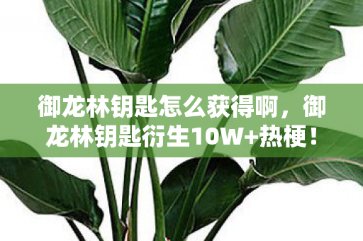 御龙林钥匙怎么获得啊,御龙林钥匙衍生10W+热梗!破圈玩法竟让游戏道具变身时尚顶流 御龙林钥匙怎么获得啊,御龙林钥匙衍生10W+热梗!破圈玩法竟让游戏道具变身时尚顶流