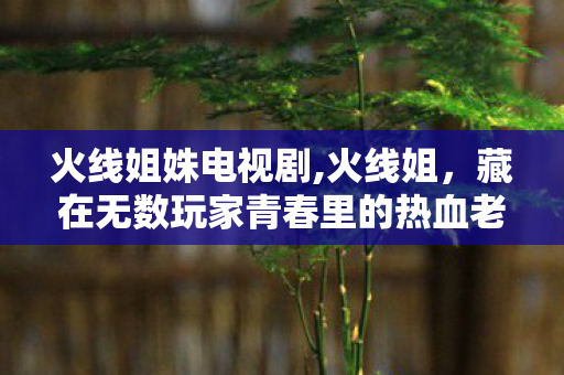 火线姐姝电视剧,火线姐,藏在无数玩家青春里的热血老伙计 火线姐姝电视剧,火线姐,藏在无数玩家青春里的热血老伙计
