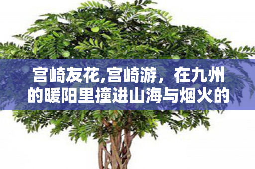 宫崎友花,宫崎游,在九州的暖阳里撞进山海与烟火的温柔怀抱 宫崎友花,宫崎游,在九州的暖阳里撞进山海与烟火的温柔怀抱