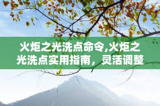 火炬之光洗点命令,火炬之光洗点实用指南，灵活调整加点，解锁百变BD乐趣