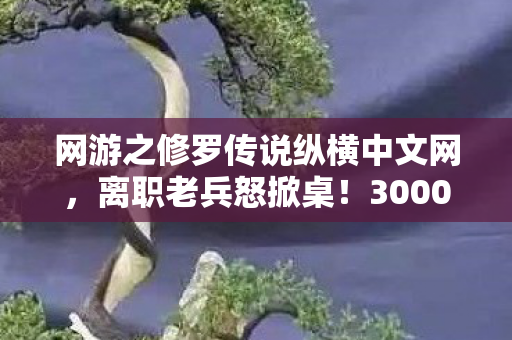 网游之修罗传说纵横中文网，离职老兵怒掀桌！3000万隐情曝光，这方案当年真把我吓一跳！