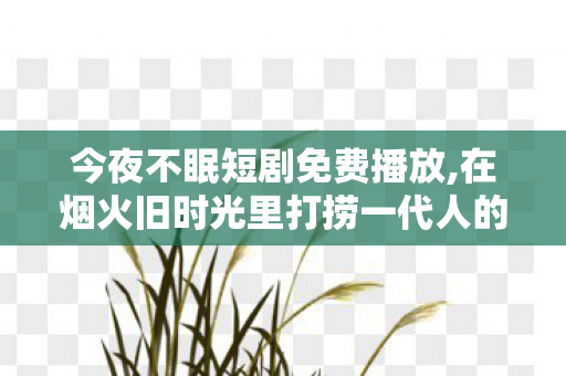今夜不眠短剧免费播放,在烟火旧时光里打捞一代人的滚烫记忆 今夜不眠短剧免费播放,在烟火旧时光里打捞一代人的滚烫记忆