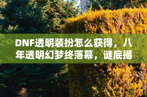 DNF透明装扮怎么获得，八年透明幻梦终落幕，谜底揭晓时泪目成殇