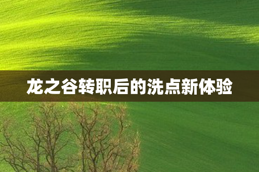 龙之谷转职后的洗点新体验图片