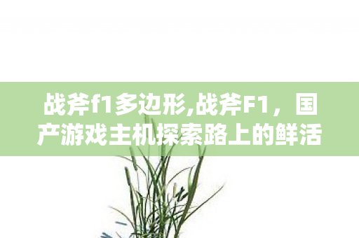 战斧f1多边形,战斧F1,国产游戏主机探索路上的鲜活注脚 战斧f1多边形,战斧F1,国产游戏主机探索路上的鲜活注脚