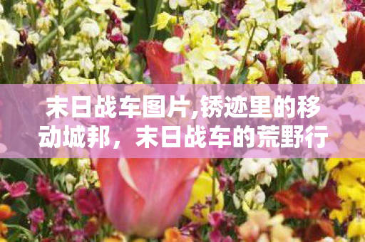 末日战车图片,锈迹里的移动城邦,末日战车的荒野行歌 末日战车图片,锈迹里的移动城邦,末日战车的荒野行歌