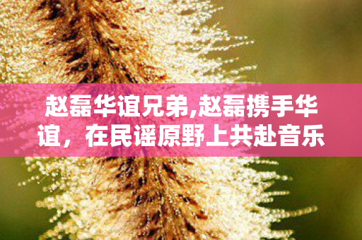 赵磊华谊兄弟,赵磊携手华谊，在民谣原野上共赴音乐新程