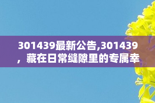 301439最新公告,301439，藏在日常缝隙里的专属幸福刻度