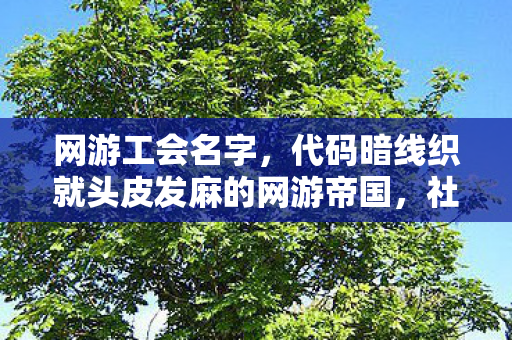 网游工会名字,代码暗线织就头皮发麻的网游帝国,社恐指挥的五年虚拟狂欢 网游工会名字,代码暗线织就头皮发麻的网游帝国,社恐指挥的五年虚拟狂欢