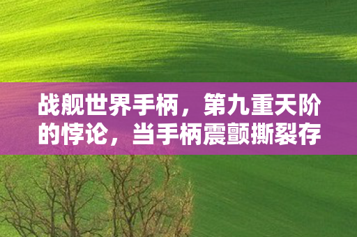 战舰世界手柄，第九重天阶的悖论，当手柄震颤撕裂存在主义深渊