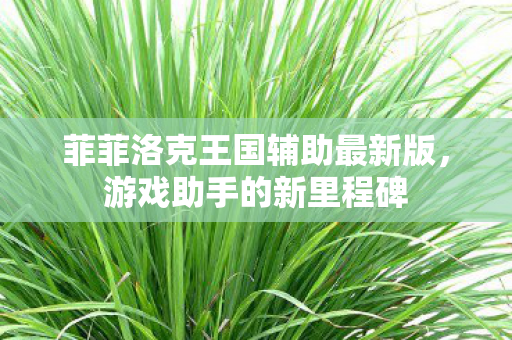 菲菲洛克王国辅助最新版图片