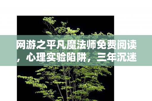 网游之平凡魔法师免费阅读,心理实验陷阱,三年沉迷网游,细思极恐的自我囚禁 网游之平凡魔法师免费阅读,心理实验陷阱,三年沉迷网游,细思极恐的自我囚禁
