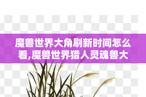 魔兽世界大角刷新时间怎么看,魔兽世界猎人灵魂兽大角蹲守指南,刷新规律与实用心得 魔兽世界大角刷新时间怎么看,魔兽世界猎人灵魂兽大角蹲守指南,刷新规律与实用心得
