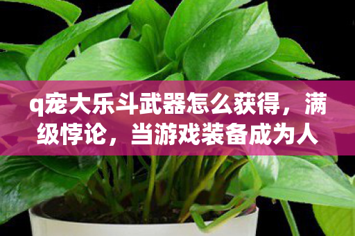 q宠大乐斗武器怎么获得,满级悖论,当游戏装备成为人生枷锁,你竟在虚拟中活成了真神? q宠大乐斗武器怎么获得,满级悖论,当游戏装备成为人生枷锁,你竟在虚拟中活成了真神?