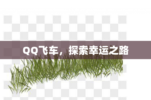 探索幸运之路图片