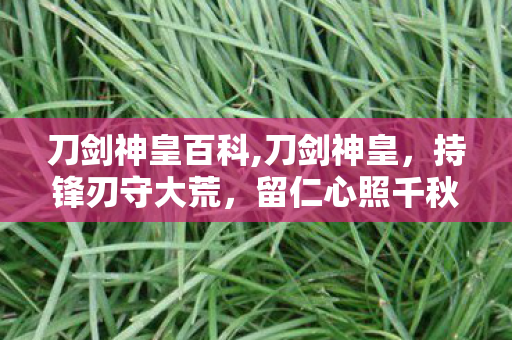 刀剑神皇百科,刀剑神皇,持锋刃守大荒,留仁心照千秋 刀剑神皇百科,刀剑神皇,持锋刃守大荒,留仁心照千秋