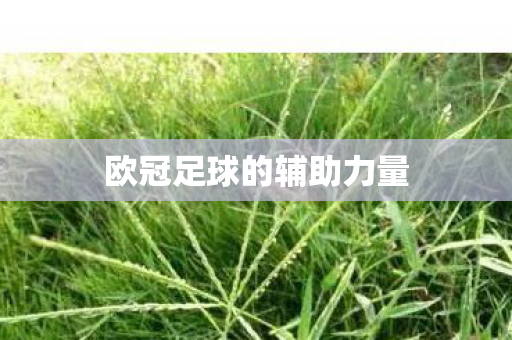 欧冠足球的辅助力量图片