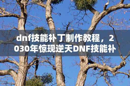 dnf技能补丁制作教程,2030年惊现逆天DNF技能补丁!十年老玩家直呼,这世界疯了? dnf技能补丁制作教程,2030年惊现逆天DNF技能补丁!十年老玩家直呼,这世界疯了?
