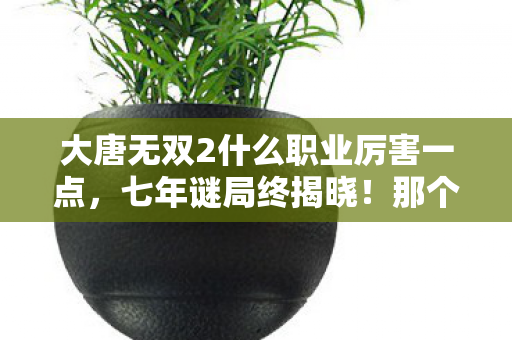 大唐无双2什么职业厉害一点,七年谜局终揭晓!那个让百万玩家泪目的最强职业竟是…… 大唐无双2什么职业厉害一点,七年谜局终揭晓!那个让百万玩家泪目的最强职业竟是……