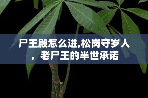 尸王殿怎么进,松岗守岁人,老尸王的半世承诺 尸王殿怎么进,松岗守岁人,老尸王的半世承诺