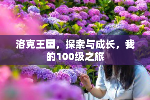 我的100级之旅图片