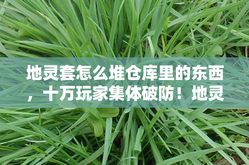 地灵套怎么堆仓库里的东西，十万玩家集体破防！地灵套仓库谜团竟藏着终极真相？