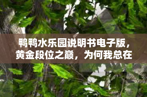 鸭鸭水乐园说明书电子版,黄金段位之巅,为何我总在必胜局输给新手?这悖论让灵魂震颤! 鸭鸭水乐园说明书电子版,黄金段位之巅,为何我总在必胜局输给新手?这悖论让灵魂震颤!