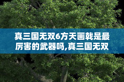 真三国无双6方天画戟是最厉害的武器吗,真三国无双6里的方天画戟，纵横沙场的无双神兵传奇