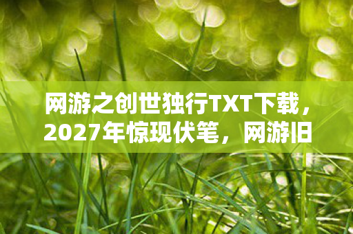 网游之创世独行TXT下载，2027年惊现伏笔，网游旧情如刀，鼻子一酸忆往昔