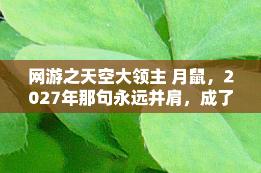 网游之天空大领主 月鼠，2027年那句永远并肩，成了天空城最痛的伏笔，鼻子一酸泪满襟