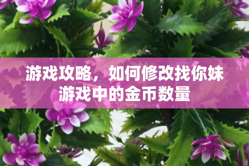 如何修改找你妹游戏中的金币数量图片