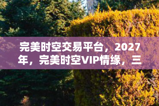 完美时空交易平台，2027年，完美时空VIP情缘，三年虚拟守候，鼻子一酸终见真相