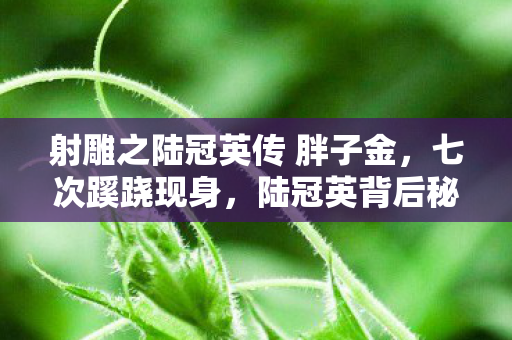 射雕之陆冠英传 胖子金,七次蹊跷现身,陆冠英背后秘密竟让江湖人后背发凉! 射雕之陆冠英传 胖子金,七次蹊跷现身,陆冠英背后秘密竟让江湖人后背发凉!