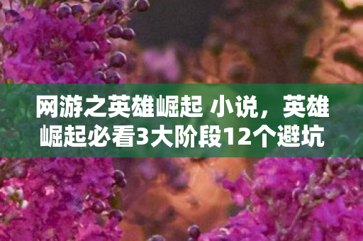 网游之英雄崛起 小说,英雄崛起必看3大阶段12个避坑心得,助你少走90%弯路! 网游之英雄崛起 小说,英雄崛起必看3大阶段12个避坑心得,助你少走90%弯路!