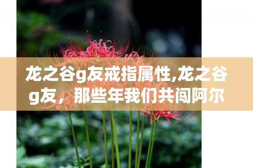 龙之谷g友戒指属性,龙之谷g友,那些年我们共闯阿尔特里亚的滚烫青春 龙之谷g友戒指属性,龙之谷g友,那些年我们共闯阿尔特里亚的滚烫青春