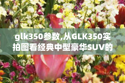 glk350参数,从GLK350实拍图看经典中型豪华SUV的岁月质感