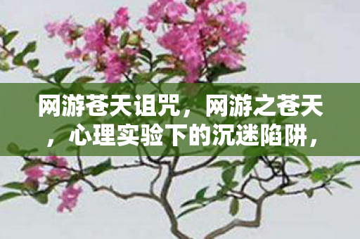 网游苍天诅咒,网游之苍天,心理实验下的沉迷陷阱,细思极恐的自我囚笼 网游苍天诅咒,网游之苍天,心理实验下的沉迷陷阱,细思极恐的自我囚笼