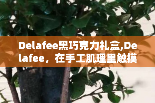 Delafee黑巧克力礼盒,Delafee,在手工肌理里触摸慢生活的温度 Delafee黑巧克力礼盒,Delafee,在手工肌理里触摸慢生活的温度