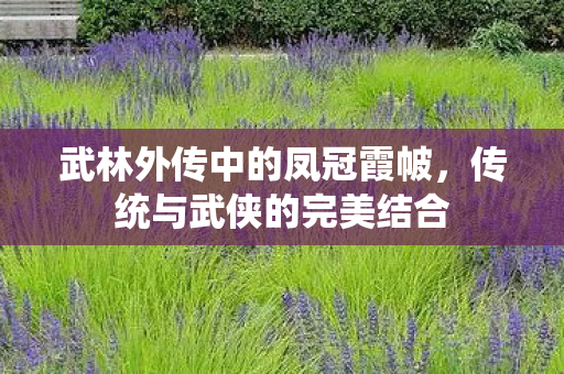 武林外传中的凤冠霞帔图片