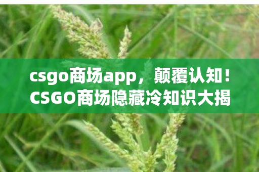 csgo商场app，颠覆认知！CSGO商场隐藏冷知识大揭秘，让你目瞪口呆！