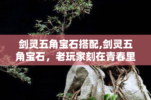 剑灵五角宝石搭配,剑灵五角宝石，老玩家刻在青春里的战力印记