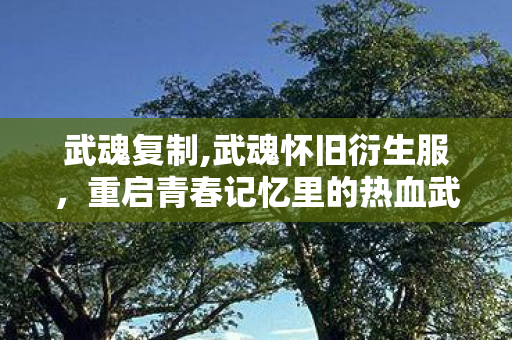 武魂复制,武魂怀旧衍生服，重启青春记忆里的热血武魂路