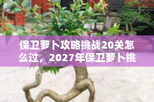 保卫萝卜攻略挑战20关怎么过，2027年保卫萝卜挑战20通关夜，伏笔藏了三年，鼻子一酸泪满衫