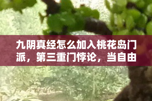 九阴真经怎么加入桃花岛门派,第三重门悖论,当自由意志撞碎桃花岛的命运齿轮 九阴真经怎么加入桃花岛门派,第三重门悖论,当自由意志撞碎桃花岛的命运齿轮